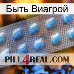 Быть Виагрой viagra3